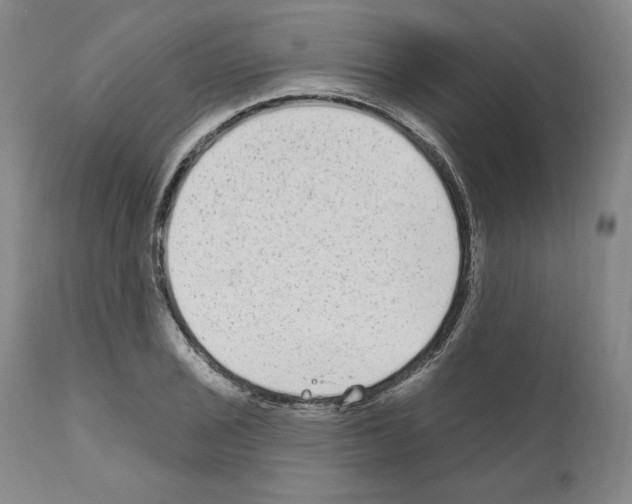 X0000110961029200907311101
