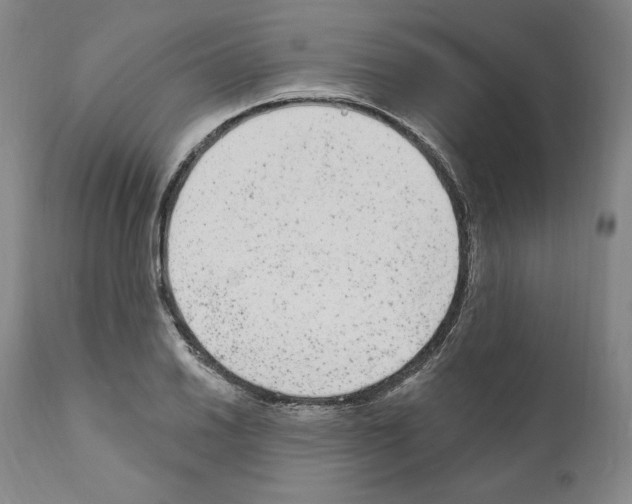 X0000110961030200907311101
