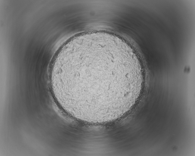 X0000110961031200907311101