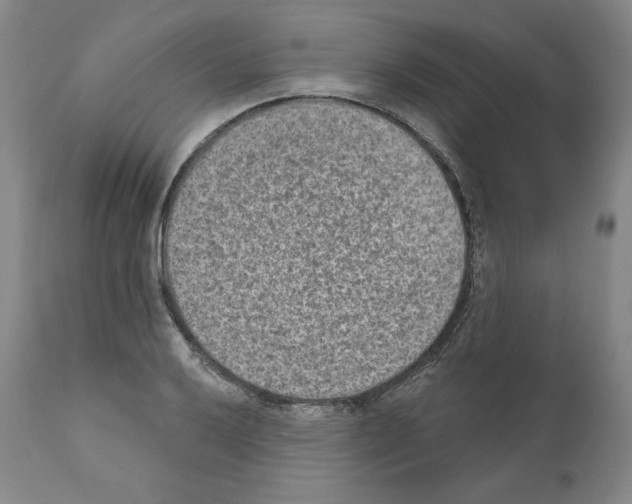 X0000110961032200907311101