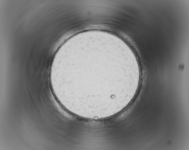 X0000110961033200907311101