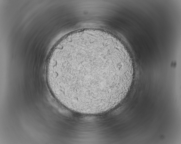 X0000110961035200907311101