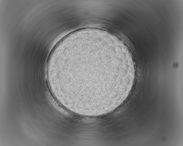 X0000110961036200907311101
