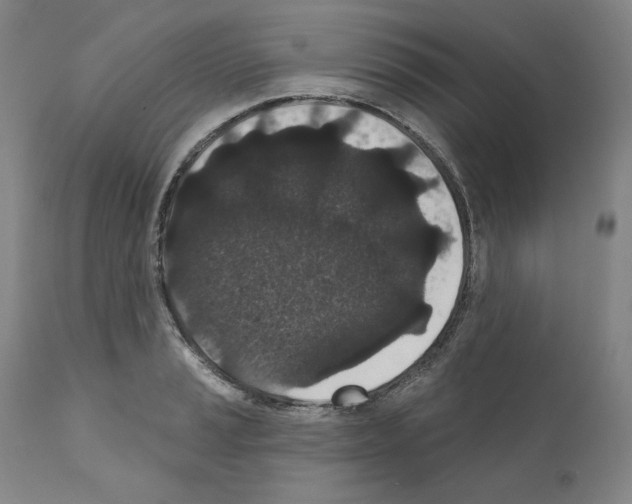 X0000110961037200907311101