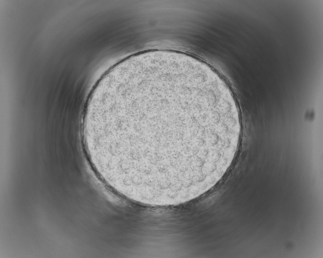 X0000110961040200907311101