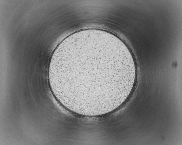 X0000110961041200907311101