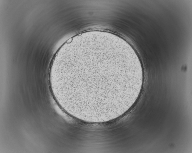 X0000110961042200907311101