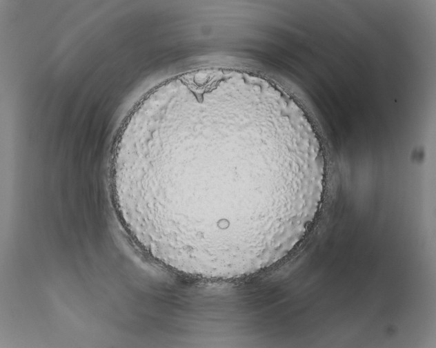 X0000110961043200907311101
