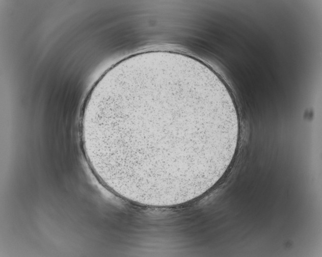 X0000110961046200907311101