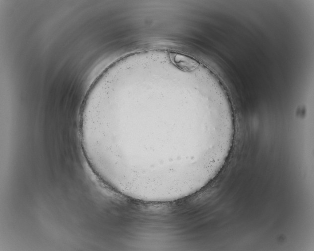 X0000110961047200907311101