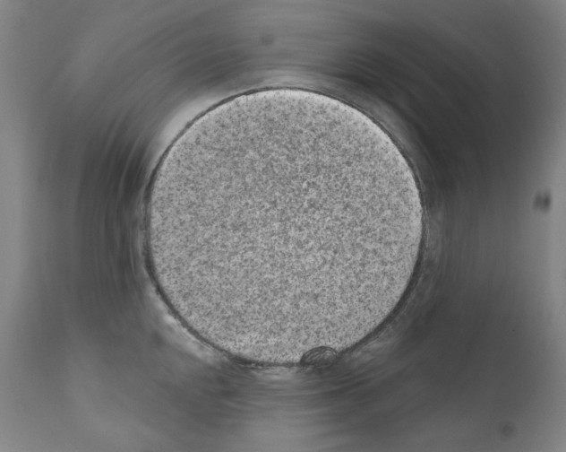 X0000110961048200907311101