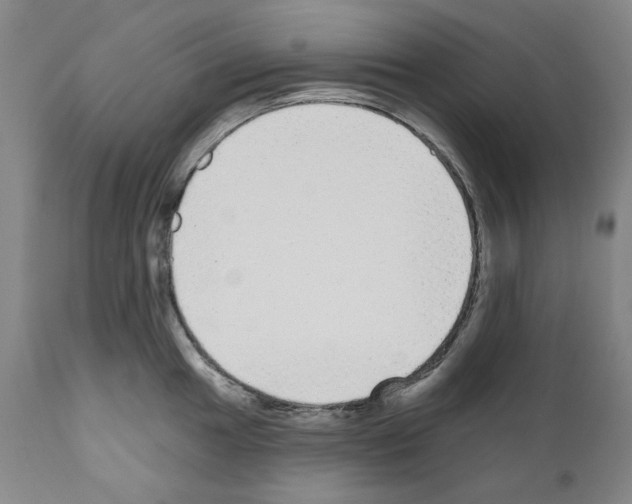 X0000110961049200907311102