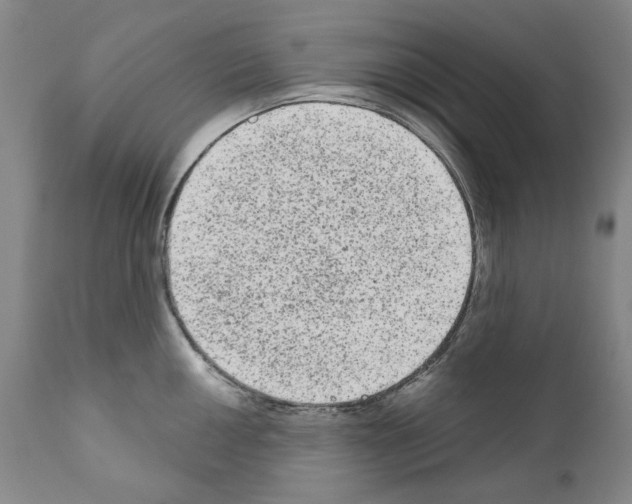 X0000110961050200907311102
