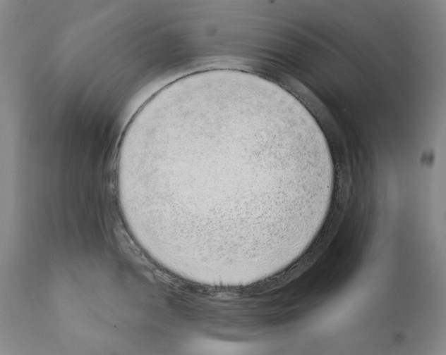 X0000110961052200907311102