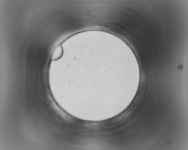 X0000110961054200907311102