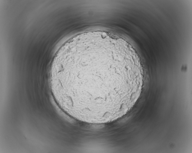 X0000110961055200907311102