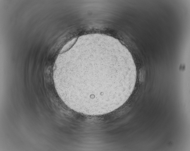 X0000110961059200907311101