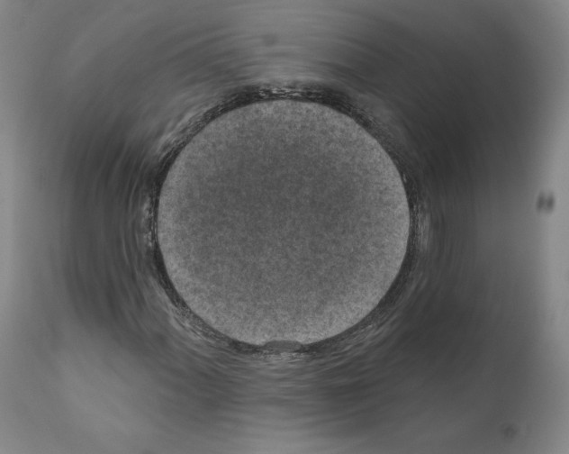 X0000110961060200907311101