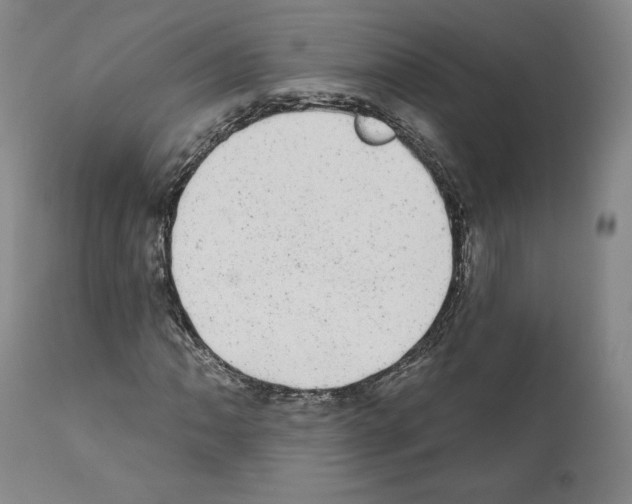 X0000110961062200907311101