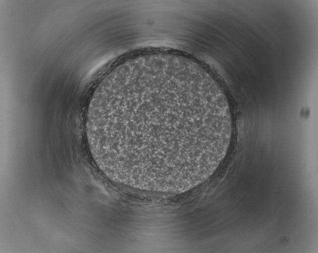 X0000110961064200907311101