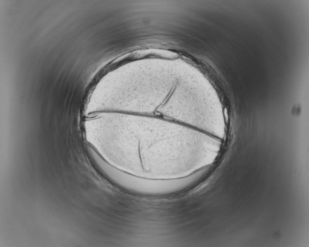 X0000110961065200907311101