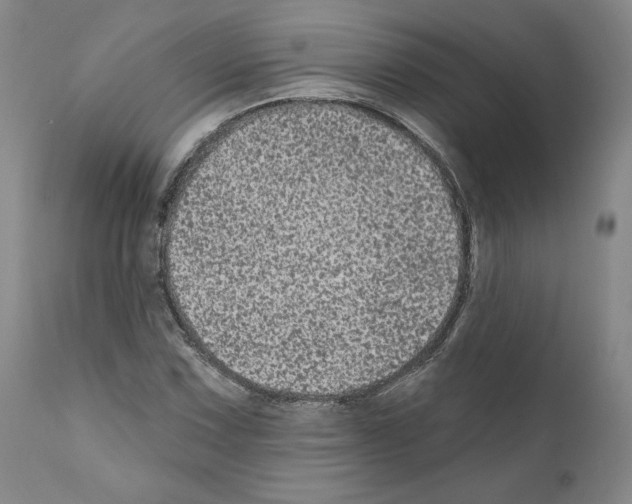 X0000110961067200907311101