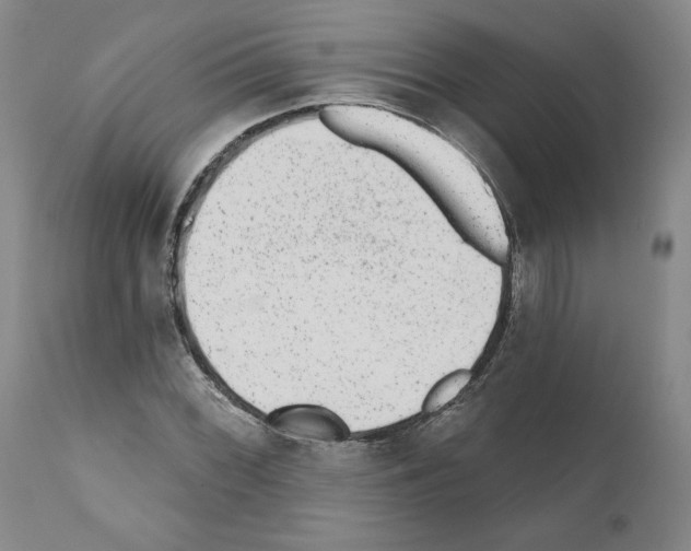 X0000110961068200907311101