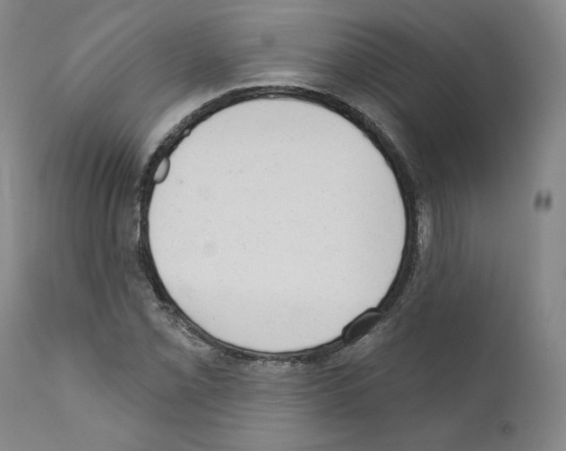 X0000110961069200907311101