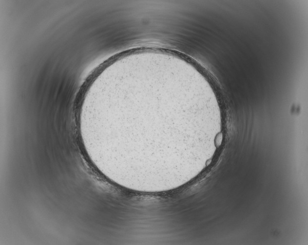 X0000110961070200907311101