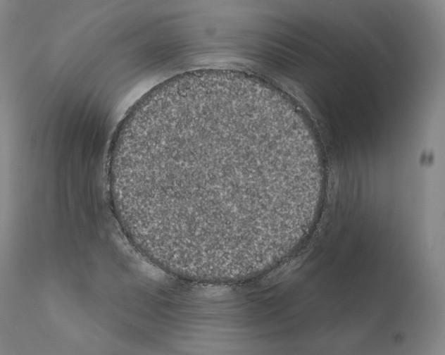 X0000110961071200907311101