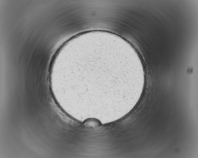 X0000110961072200907311101