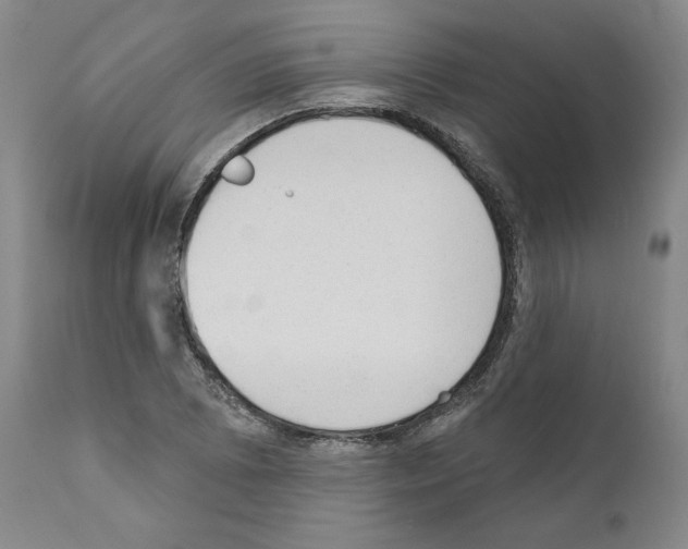 X0000110961073200907311101