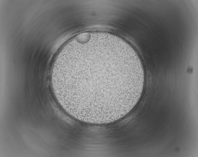 X0000110961075200907311101