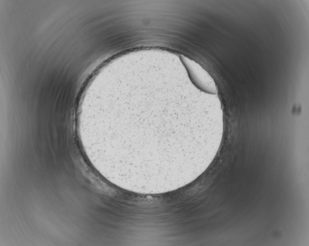 X0000110961076200907311101