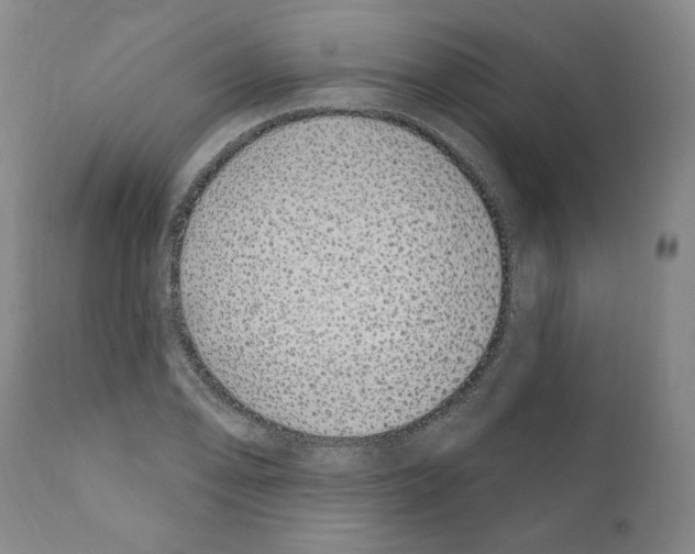 X0000110961078200907311101