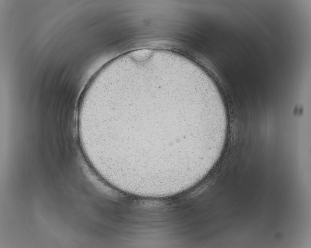 X0000110961079200907311101