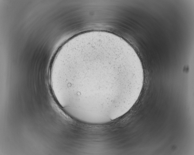 X0000110961080200907311101