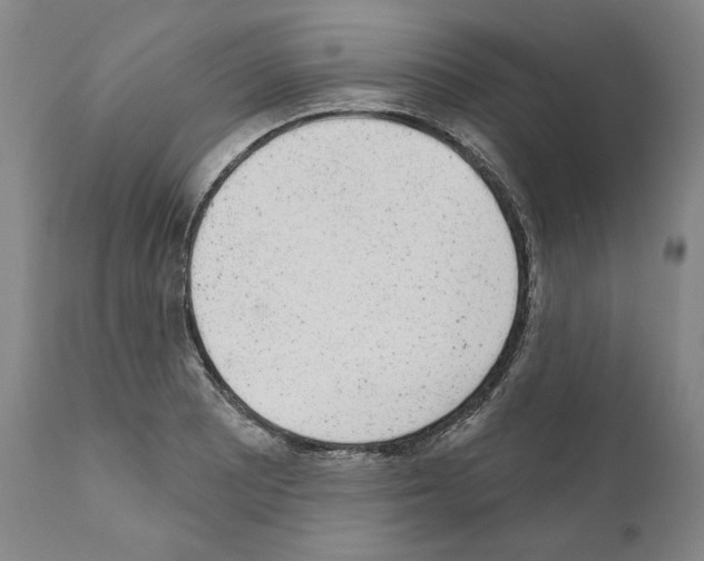 X0000110961081200907311101