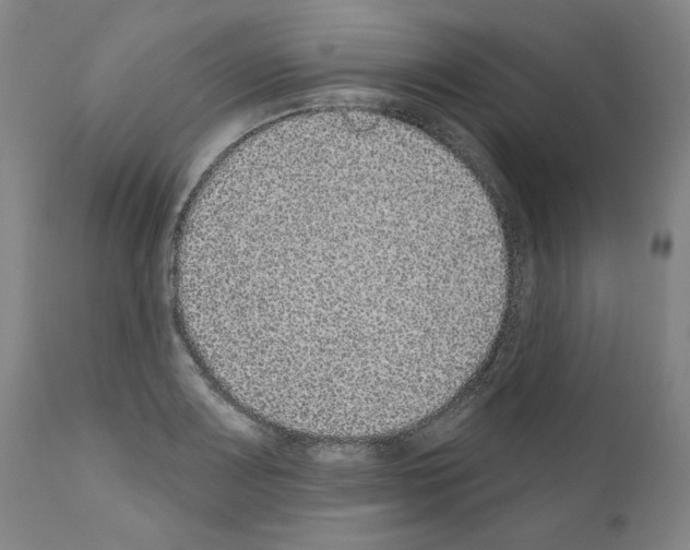 X0000110961083200907311100
