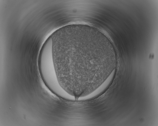 X0000110961084200907311100