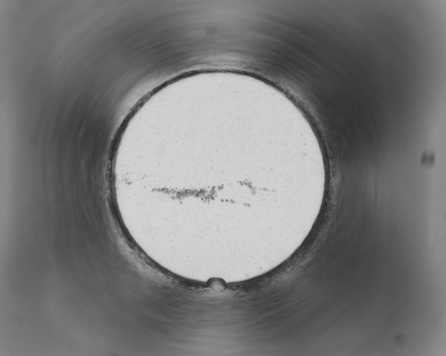 X0000110961085200907311100