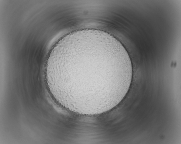 X0000110961086200907311100