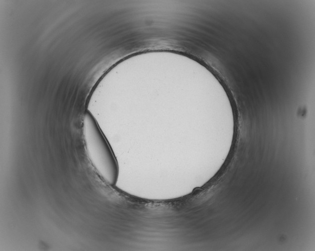 X0000110961089200907311100