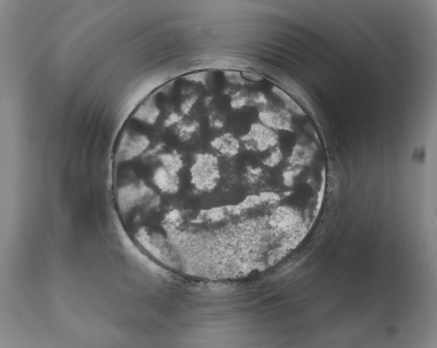 X0000110961095200907311100