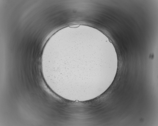 X0000110961100200907311100