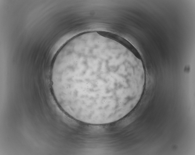 X0000110961101200907311100