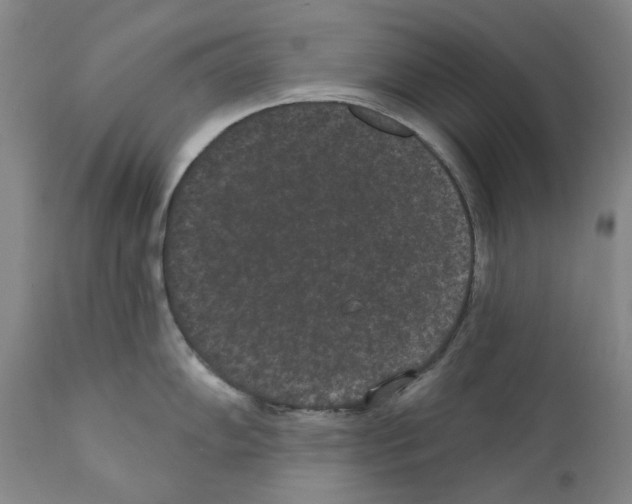 X0000110961102200907311100
