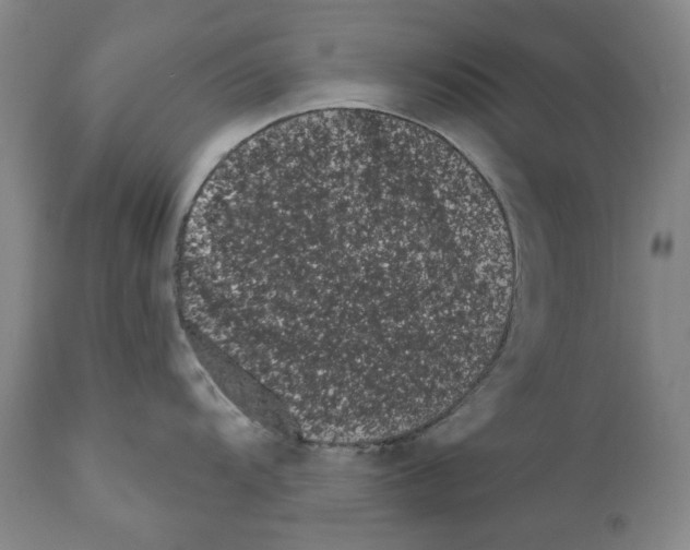 X0000110961104200907311100
