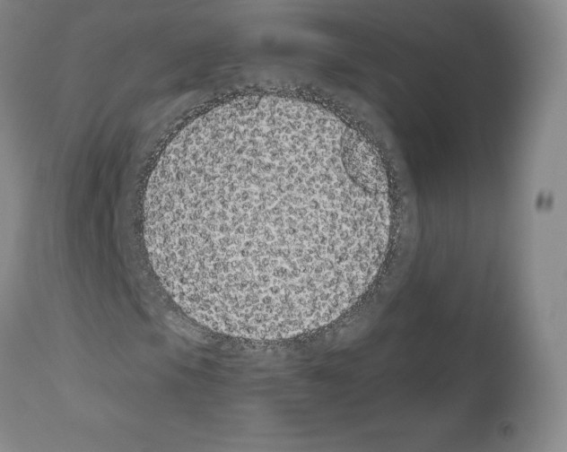 X0000110961105200907311059