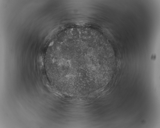 X0000110961106200907311059